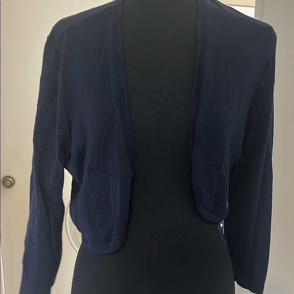 Ann Taylor Midnight Blue Sweater